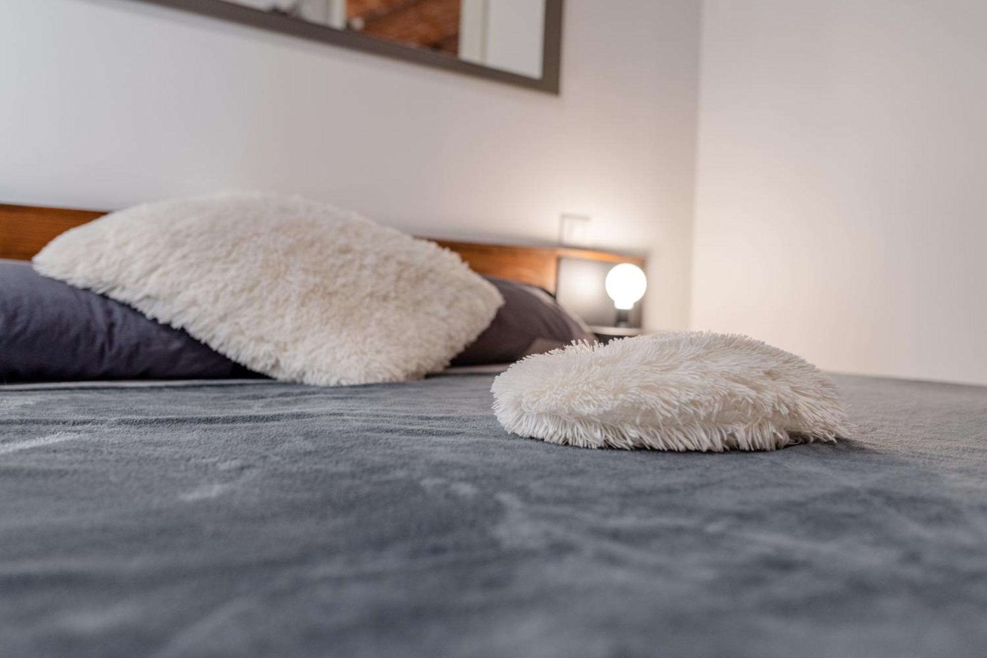 Suite & Queen Apartments تورينو المظهر الخارجي الصورة